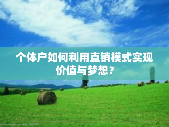 个体户如何利用直销模式实现价值与梦想？