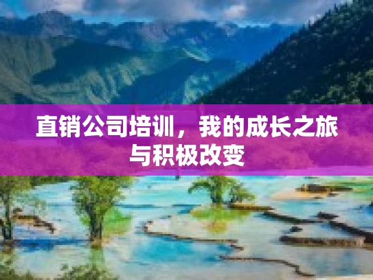 直销公司培训,我的成长之旅与积极改变