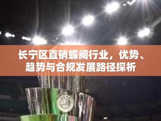 长宁区直销蝶阀行业，优势、趋势与合规发展路径探析