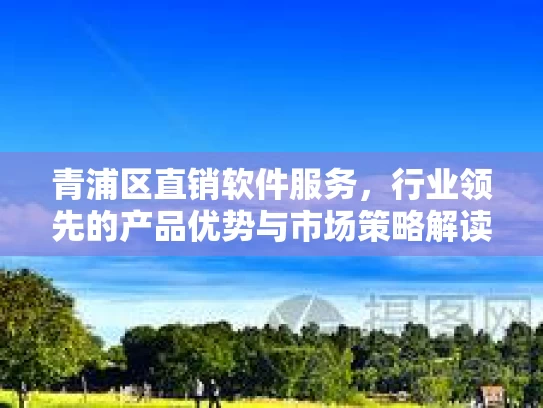 青浦区直销软件服务，行业领先的产品优势与市场策略解读