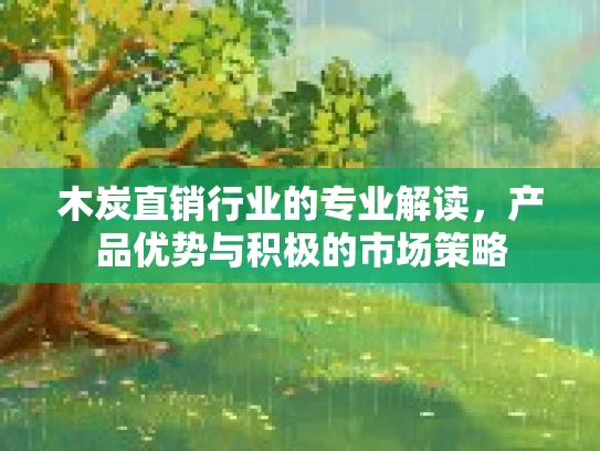 木炭直销行业的专业解读，产品优势与积极的市场策略