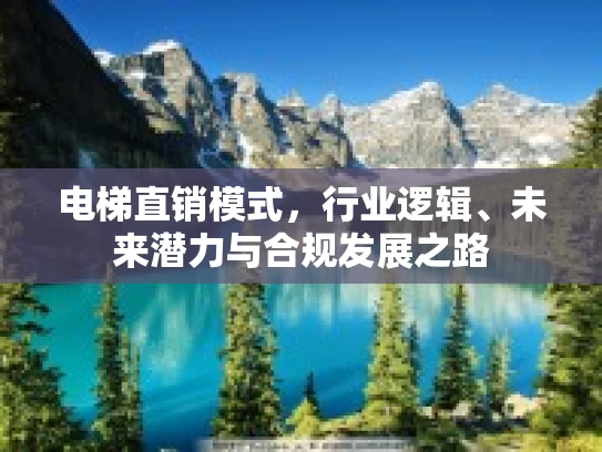 电梯直销模式，行业逻辑、未来潜力与合规发展之路