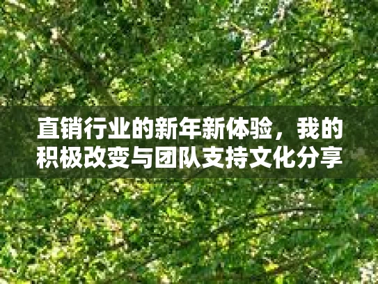 直销行业的新年新体验，我的积极改变与团队支持文化分享