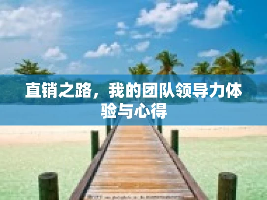 直销之路，我的团队领导力体验与心得