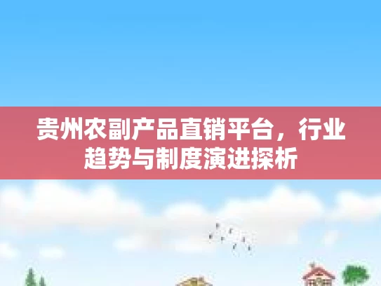 贵州农副产品直销平台，行业趋势与制度演进探析