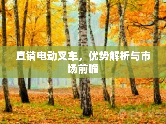 直销电动叉车，优势解析与市场前瞻