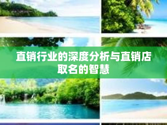 直销行业的深度分析与直销店取名的智慧
