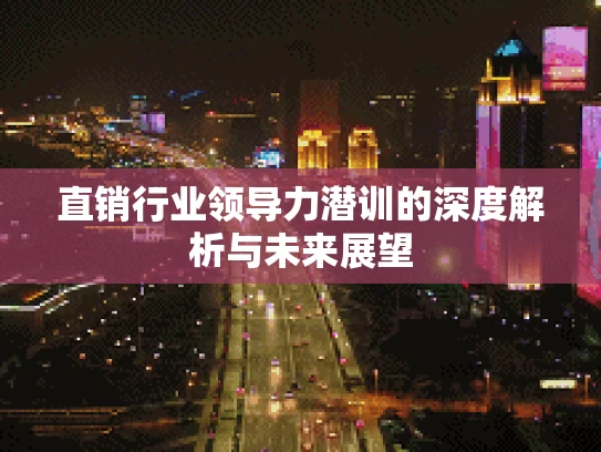直销行业领导力潜训的深度解析与未来展望