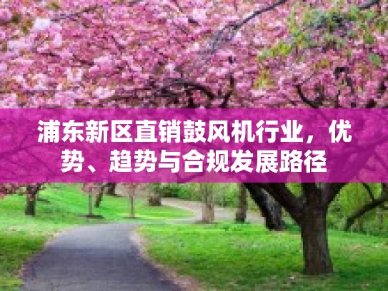 浦东新区直销鼓风机行业，优势、趋势与合规发展路径