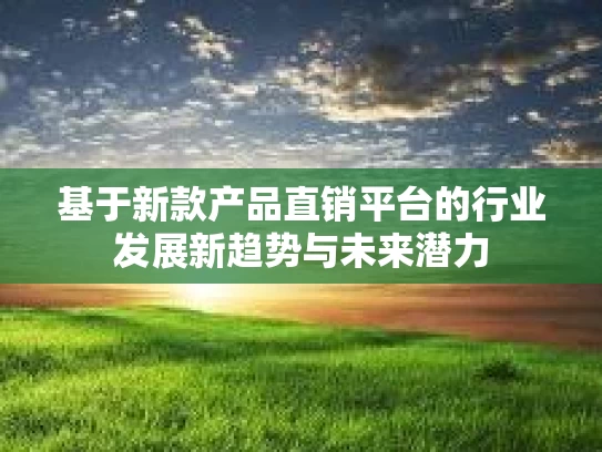 基于新款产品直销平台的行业发展新趋势与未来潜力