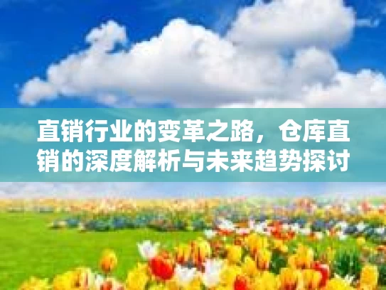 直销行业的变革之路，仓库直销的深度解析与未来趋势探讨