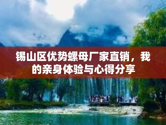 锡山区优势螺母厂家直销，我的亲身体验与心得分享