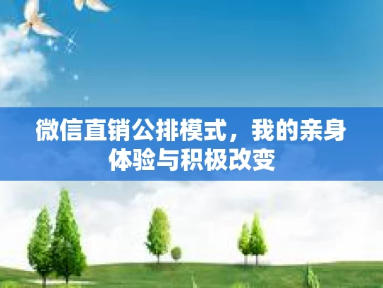 微信直销公排模式，我的亲身体验与积极改变