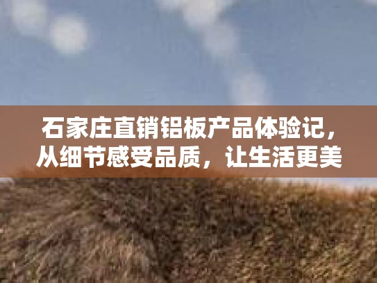 石家庄直销铝板产品体验记，从细节感受品质，让生活更美好