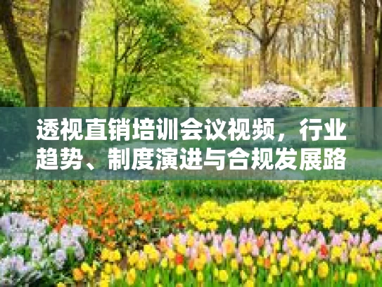 透视直销培训会议视频，行业趋势、制度演进与合规发展路径