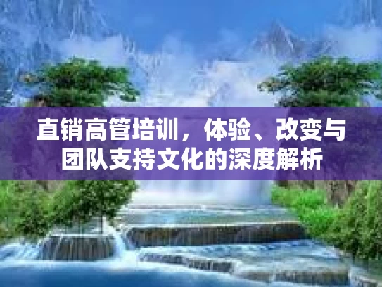 直销高管培训,体验、改变与团队支持文化的深度解析