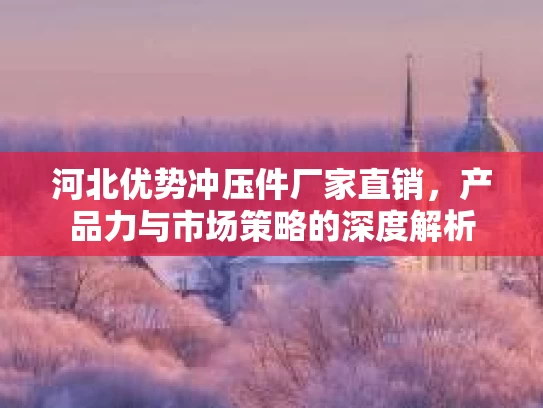 河北优势冲压件厂家直销，产品力与市场策略的深度解析