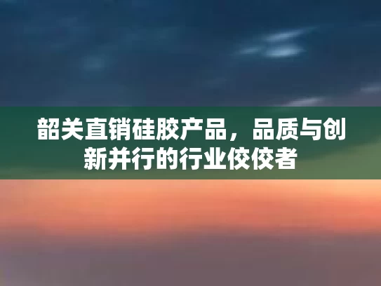 韶关直销硅胶产品，品质与创新并行的行业佼佼者