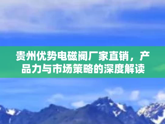 贵州优势电磁阀厂家直销，产品力与市场策略的深度解读