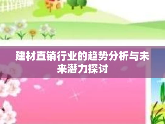 建材直销行业的趋势分析与未来潜力探讨