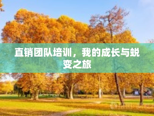 直销团队培训，我的成长与蜕变之旅