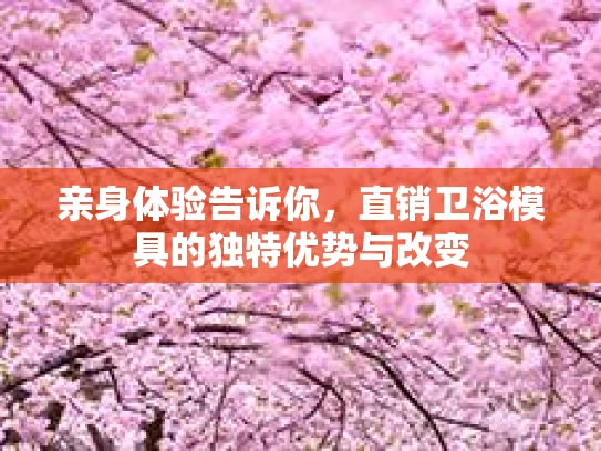 亲身体验告诉你，直销卫浴模具的独特优势与改变