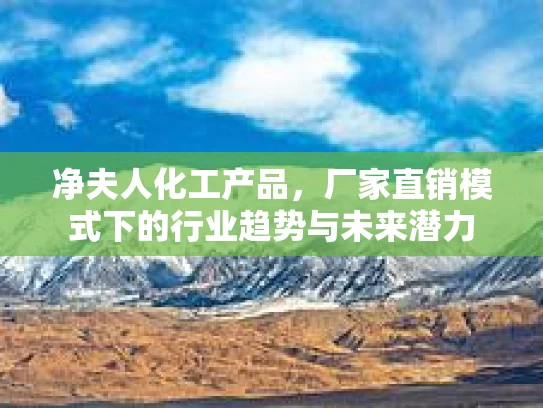 净夫人化工产品，厂家直销模式下的行业趋势与未来潜力