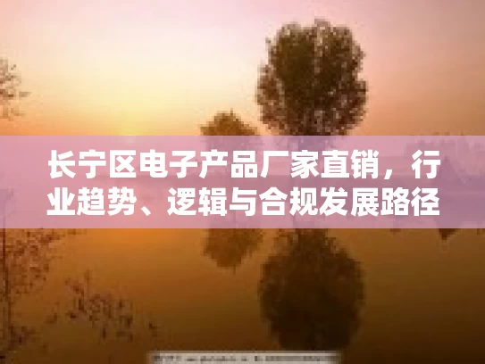 长宁区电子产品厂家直销，行业趋势、逻辑与合规发展路径