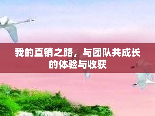 我的直销之路，与团队共成长的体验与收获