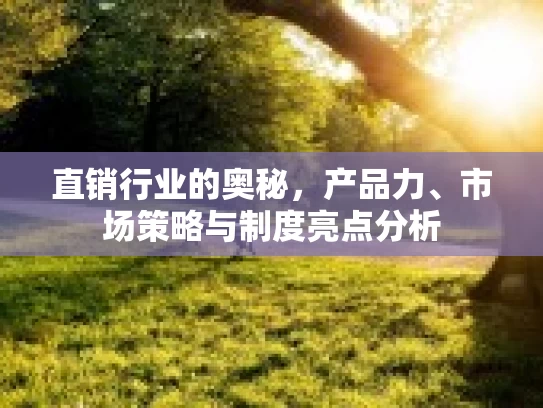直销行业的奥秘，产品力、市场策略与制度亮点分析