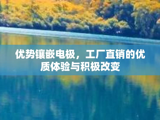优势镶嵌电极，工厂直销的优质体验与积极改变