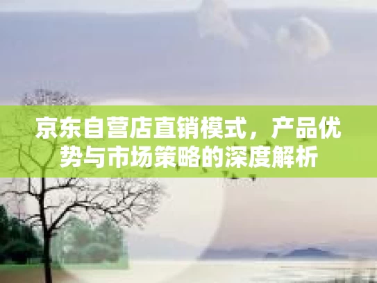 京东自营店直销模式，产品优势与市场策略的深度解析