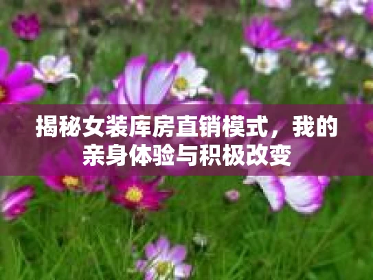 揭秘女装库房直销模式，我的亲身体验与积极改变