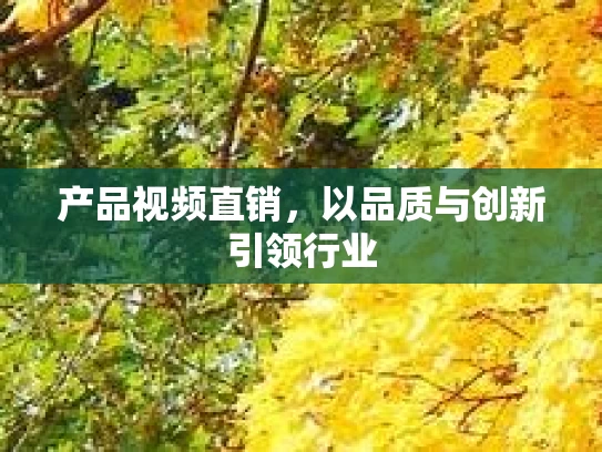 产品视频直销，以品质与创新引领行业