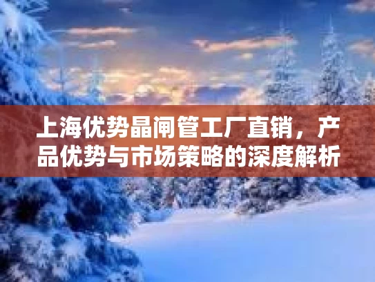 上海优势晶闸管工厂直销，产品优势与市场策略的深度解析