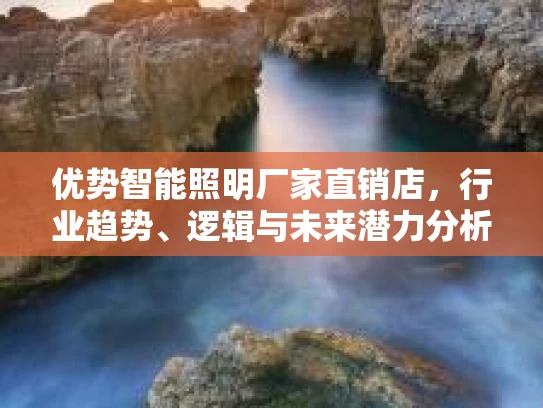 优势智能照明厂家直销店，行业趋势、逻辑与未来潜力分析