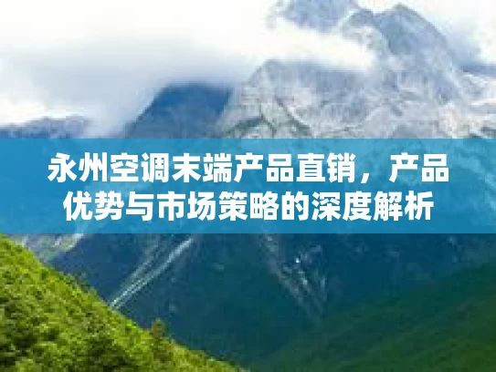 永州空调末端产品直销，产品优势与市场策略的深度解析
