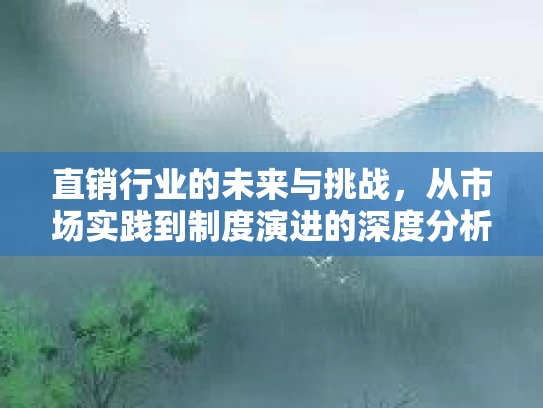 直销行业的未来与挑战，从市场实践到制度演进的深度分析