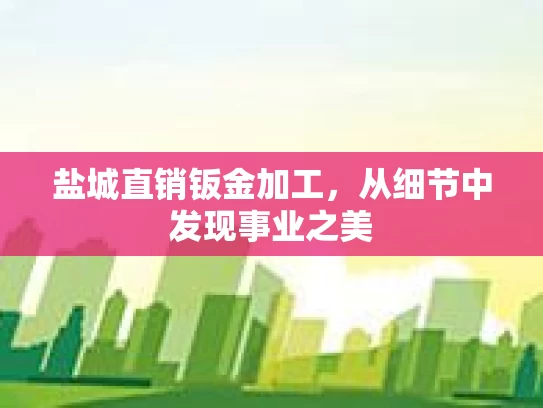 盐城直销钣金加工，从细节中发现事业之美