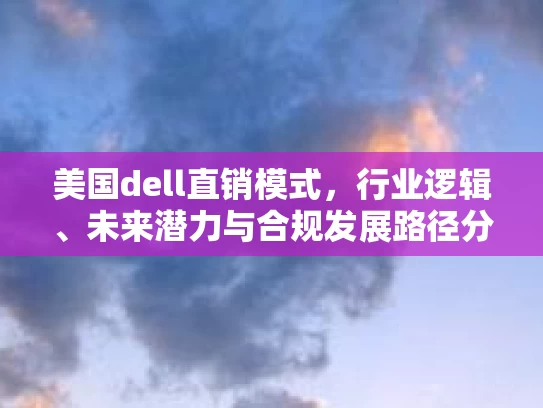 美国dell直销模式，行业逻辑、未来潜力与合规发展路径分析