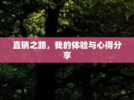 直销之路，我的体验与心得分享