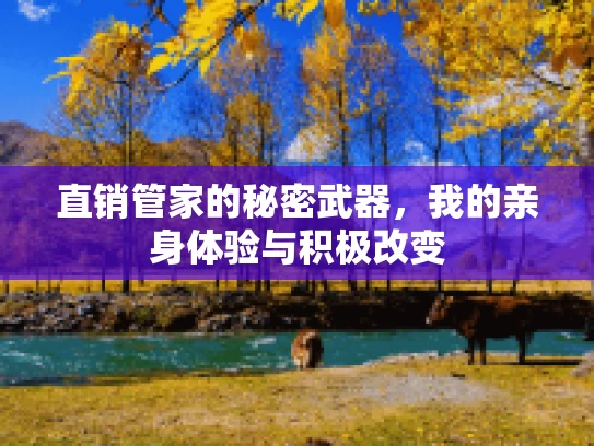 直销管家的秘密武器，我的亲身体验与积极改变