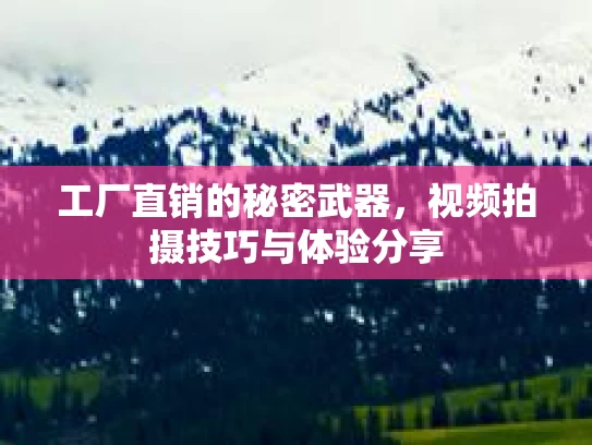 工厂直销的秘密武器，视频拍摄技巧与体验分享