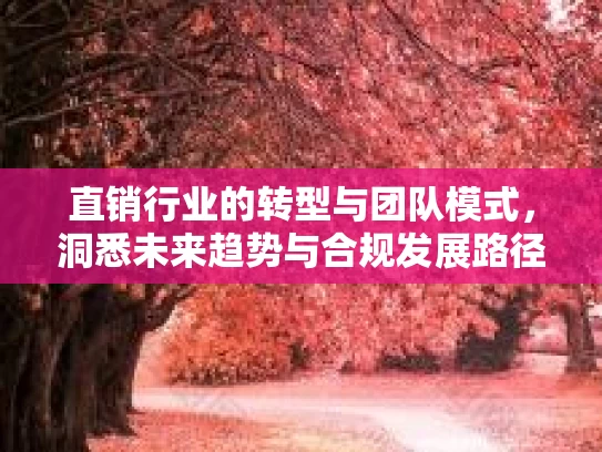 直销行业的转型与团队模式，洞悉未来趋势与合规发展路径