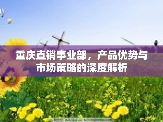 重庆直销事业部，产品优势与市场策略的深度解析