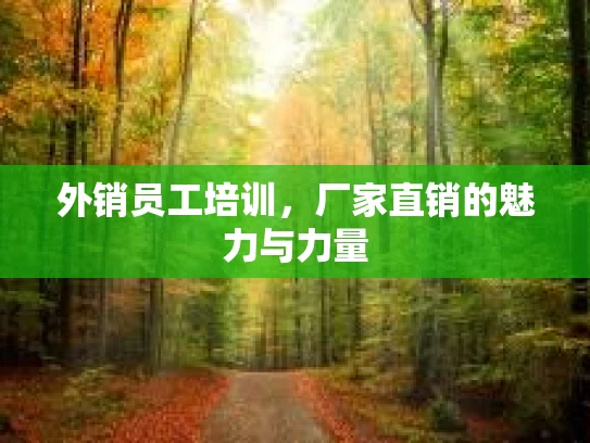外销员工培训，厂家直销的魅力与力量