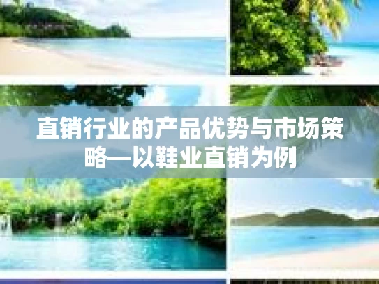 直销行业的产品优势与市场策略—以鞋业直销为例