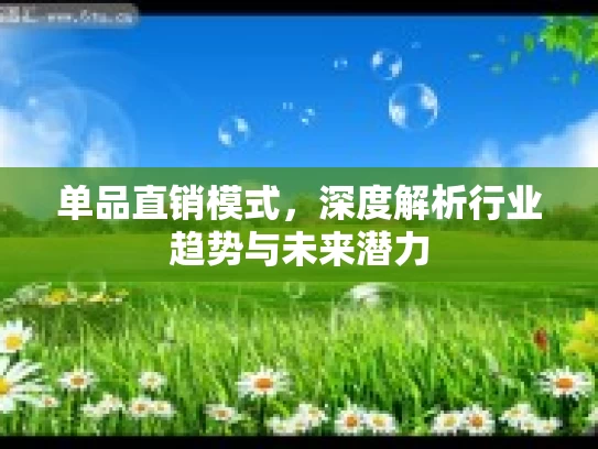 单品直销模式，深度解析行业趋势与未来潜力