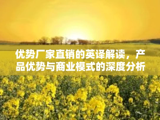 优势厂家直销的英译解读，产品优势与商业模式的深度分析