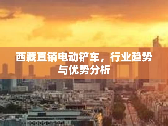 西藏直销电动铲车，行业趋势与优势分析